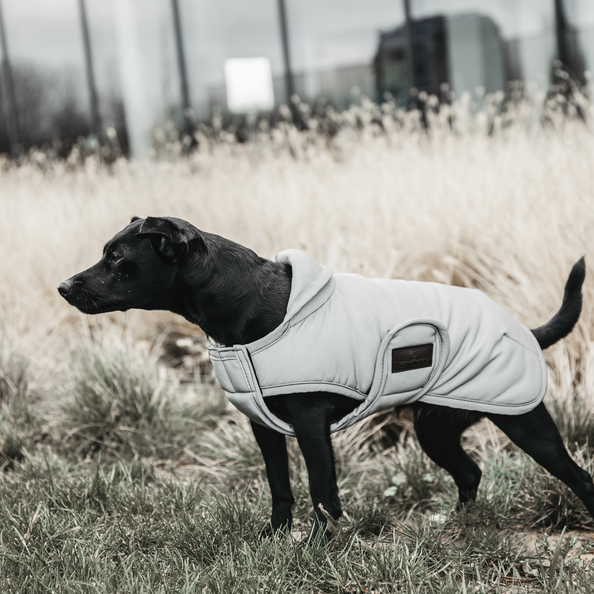 Dog coat reflective & water-repellent belly bib 150g in silver
