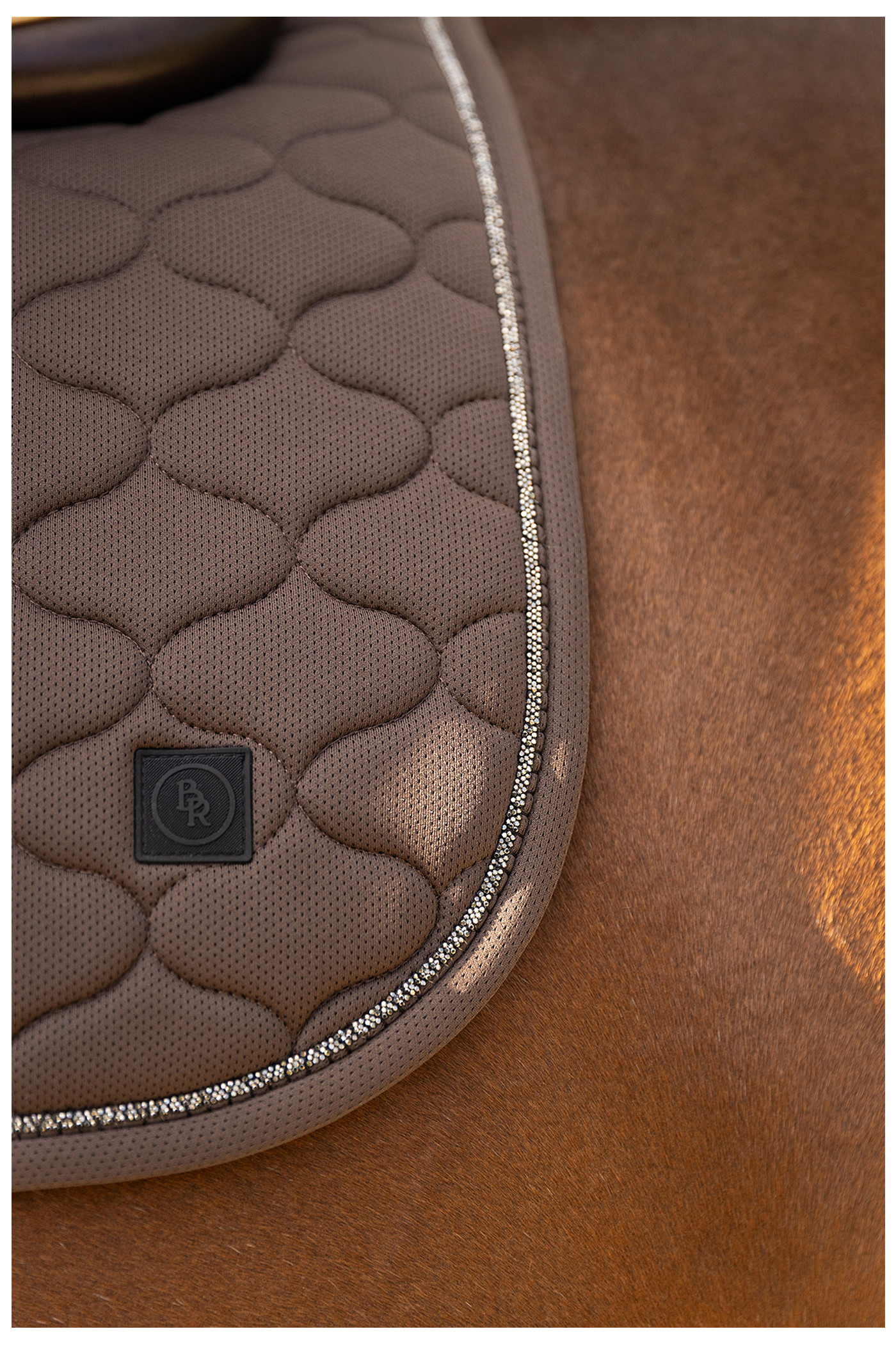 Saddle Pad Lorenzo General Purpose