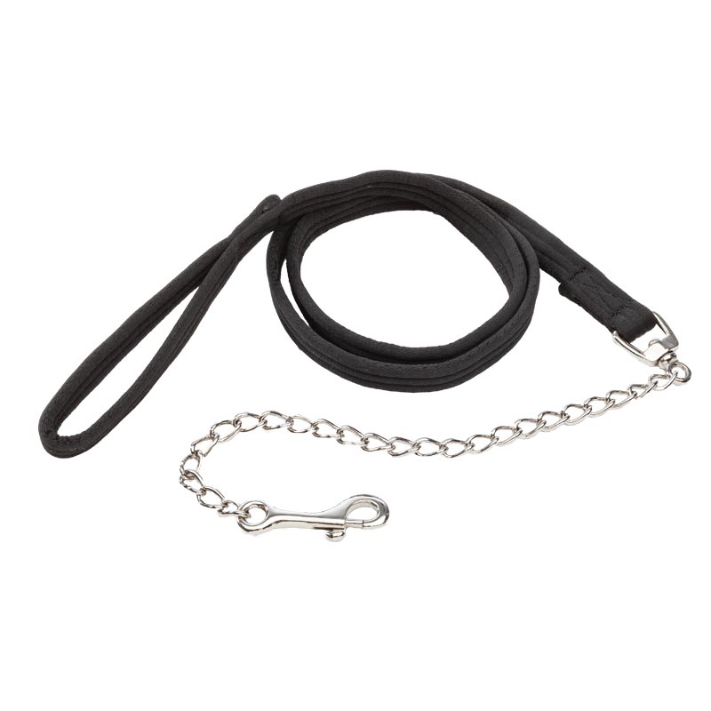 Führkette mit Karabiner