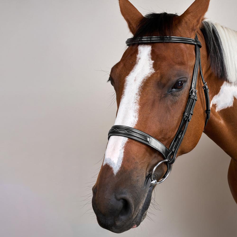 Cavesson Hunter Trense mit englischem Reithalfter US