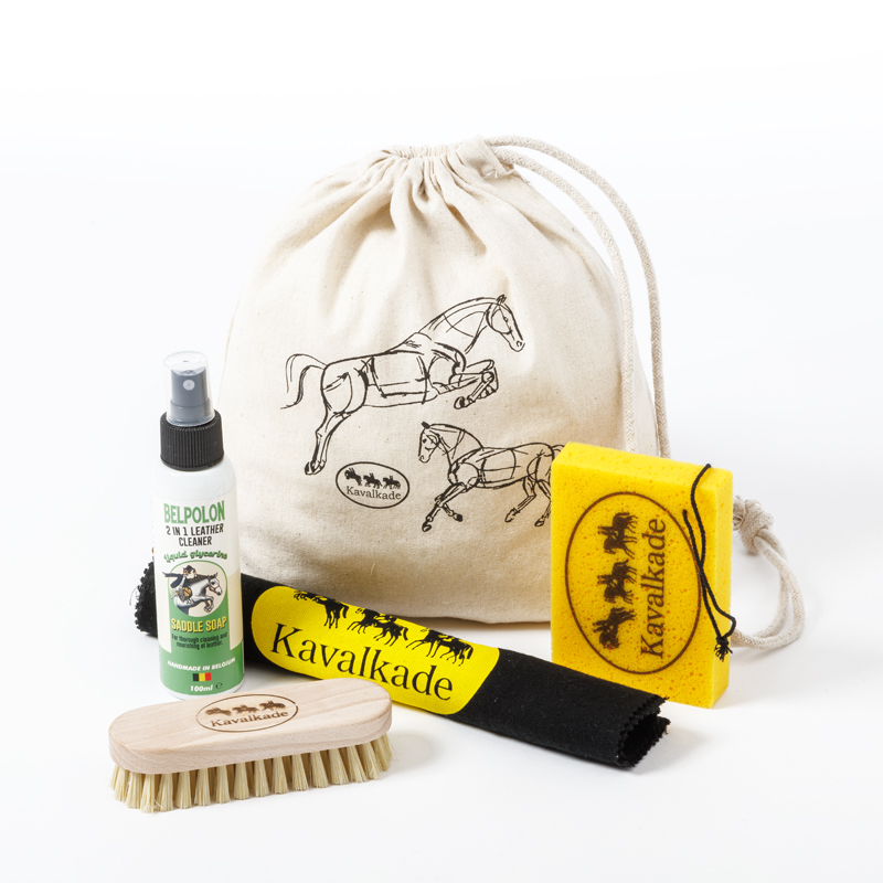 Shoe shine set