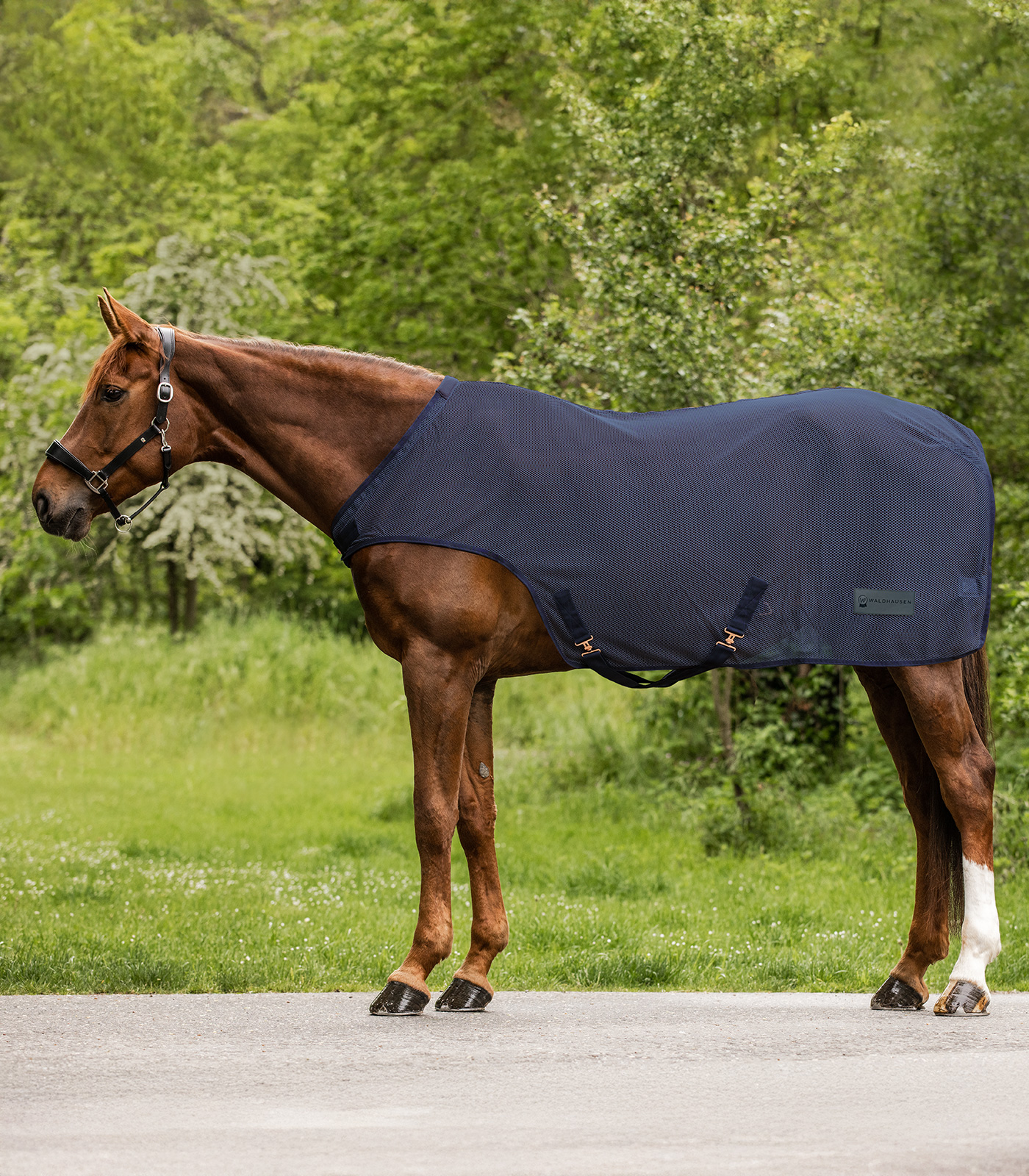 Comfort fly-guide blanket