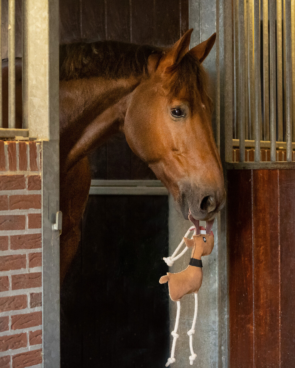 Horse toy