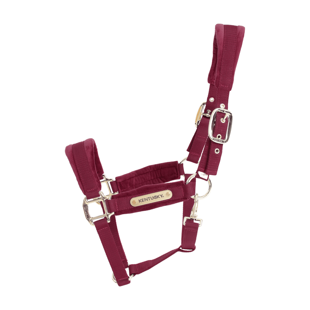 Velvet halter