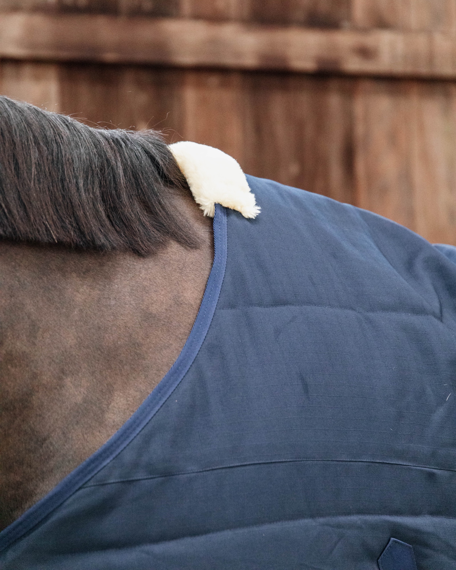 Stable rug Classic 100g