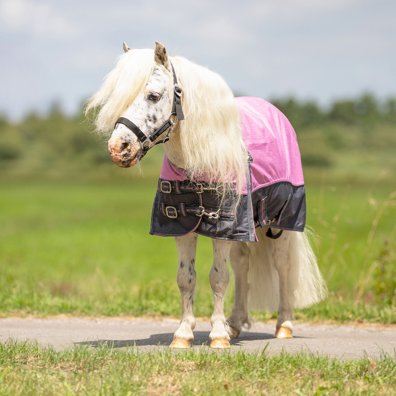 Turnoutdecke Falabella Collection 0gr