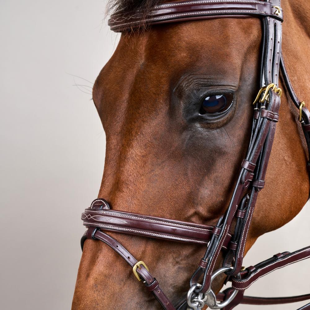 Kandare mit kombiniertem Reithalfter DY | Dy'on