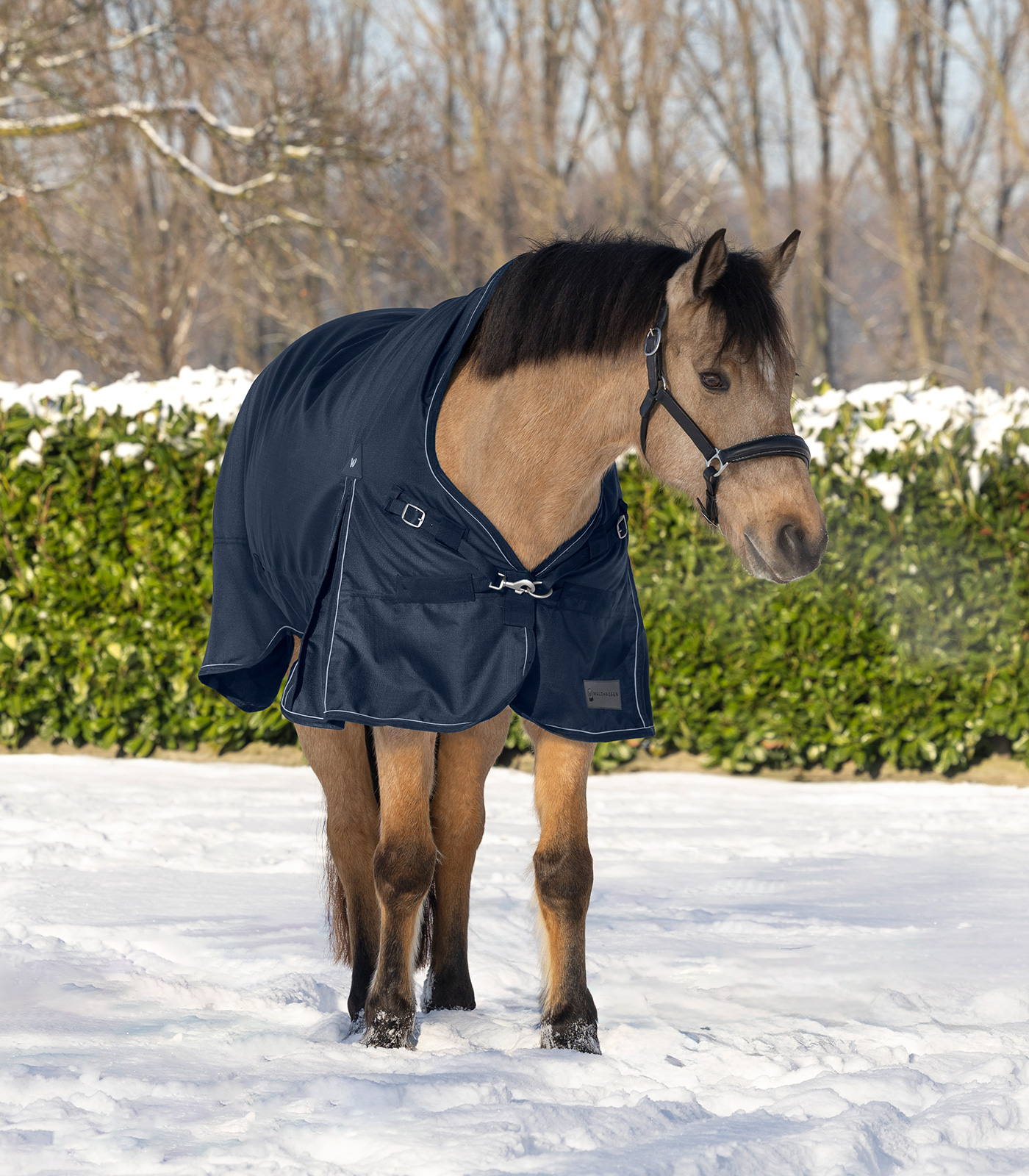 Outdoordecke Scandic, High Neck, 100 g