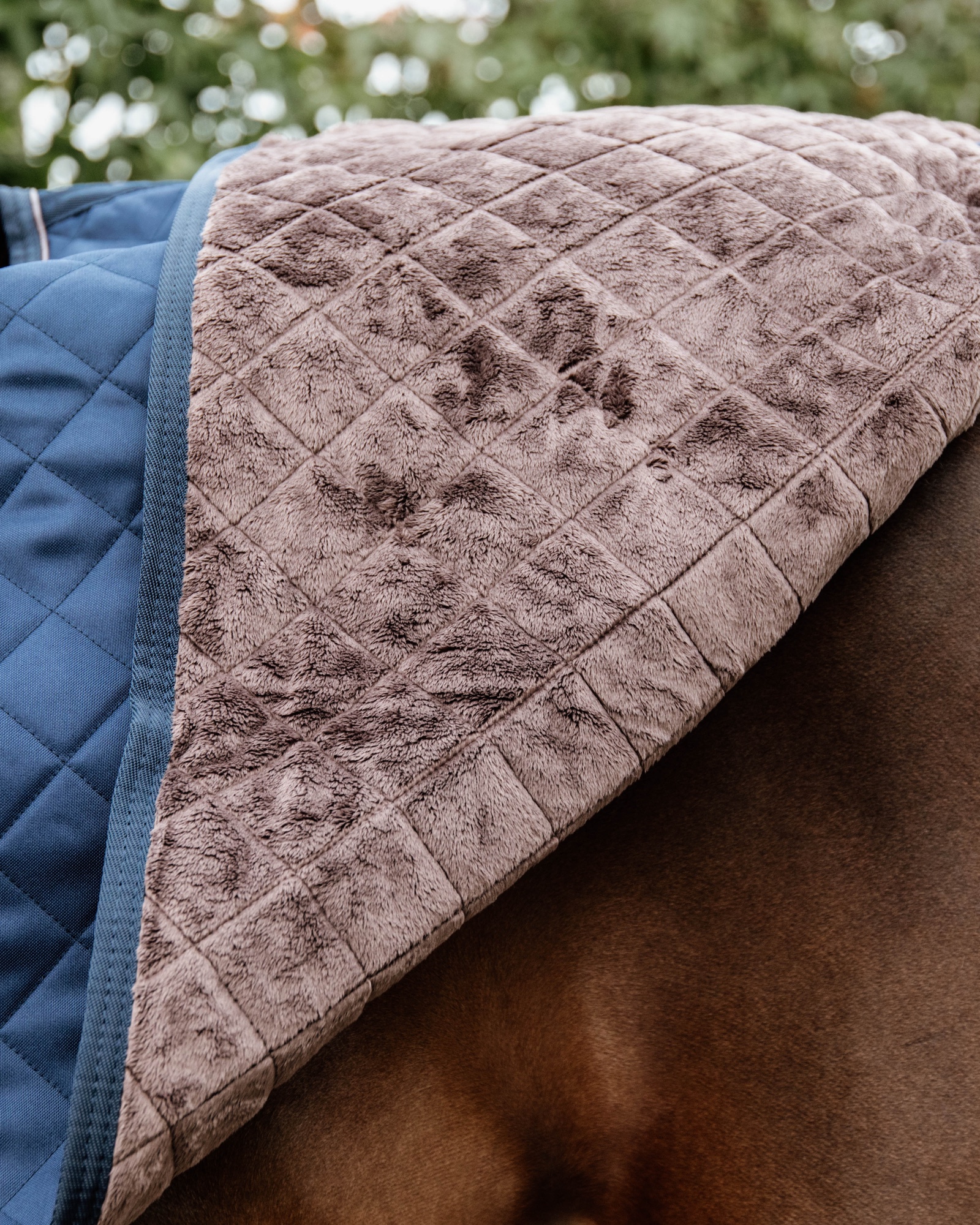 Riding rug 160g