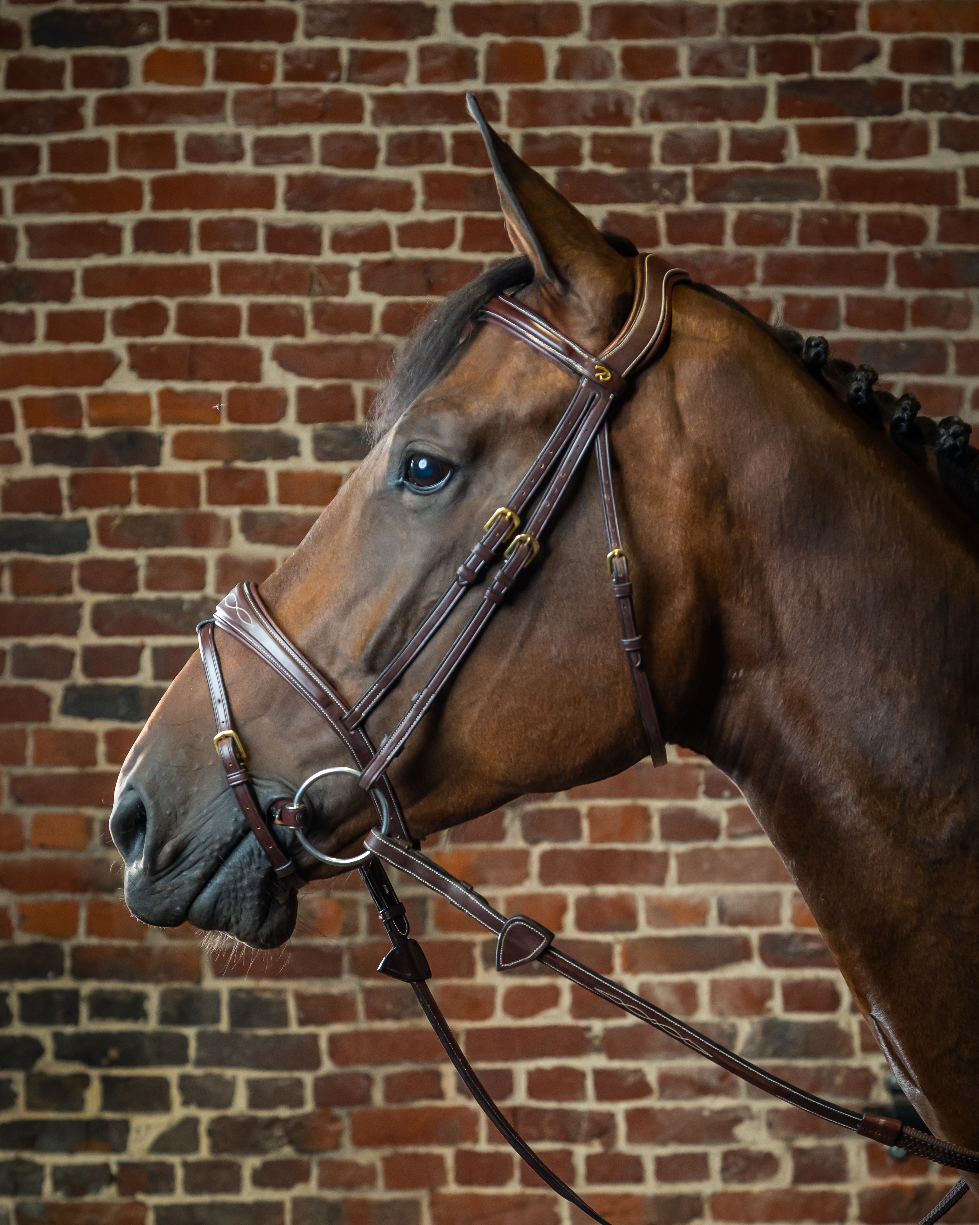 Snaffle anatomically combined