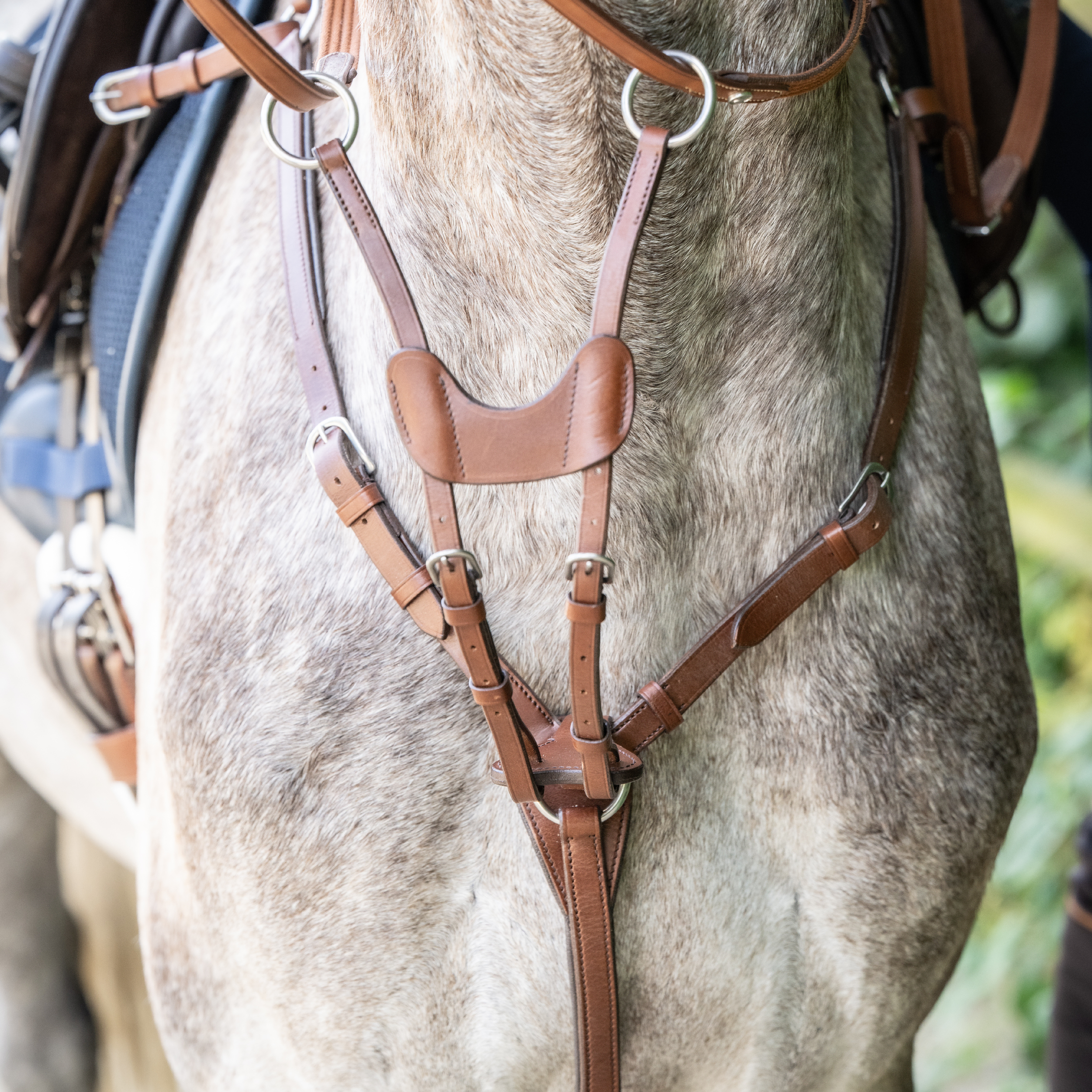 Collier de chasse IMOLA II