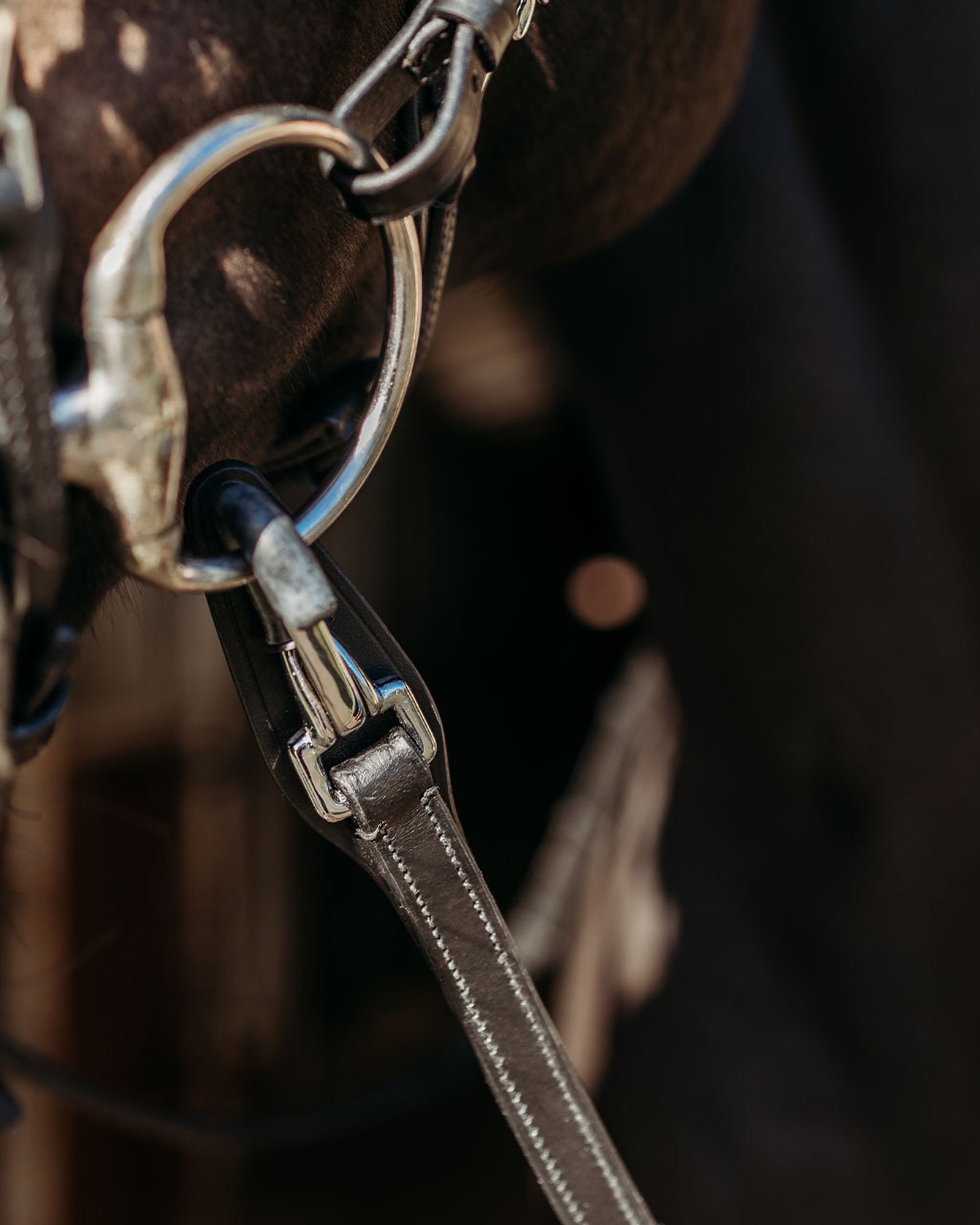 FayRein port reins with clip