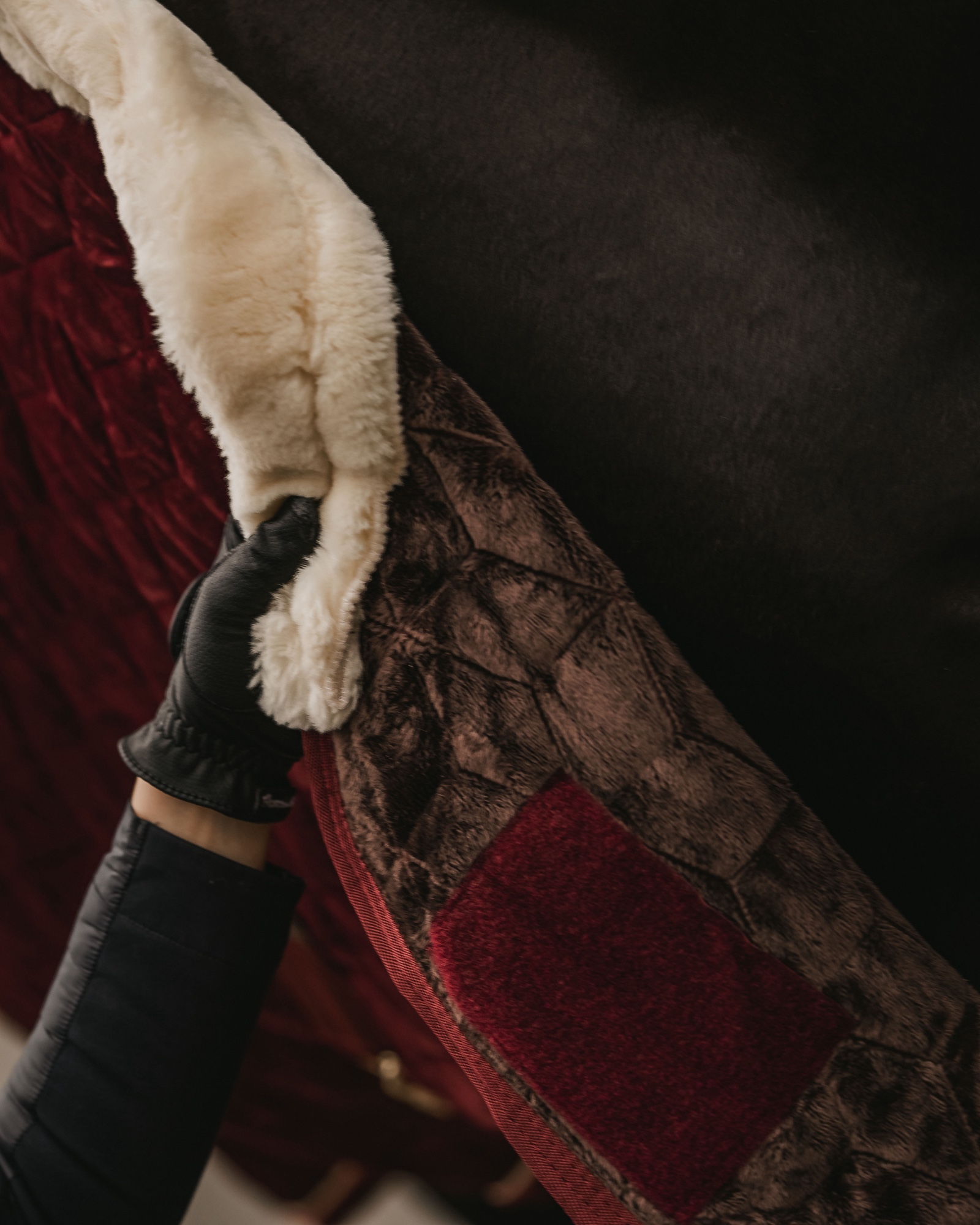 Show rug Show Rug Velvet 160g