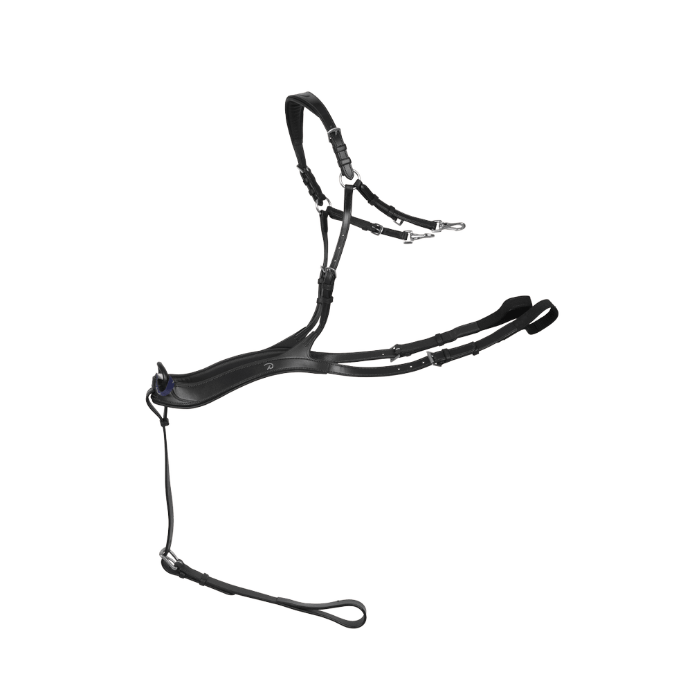 Anatomisches Vorderzeug