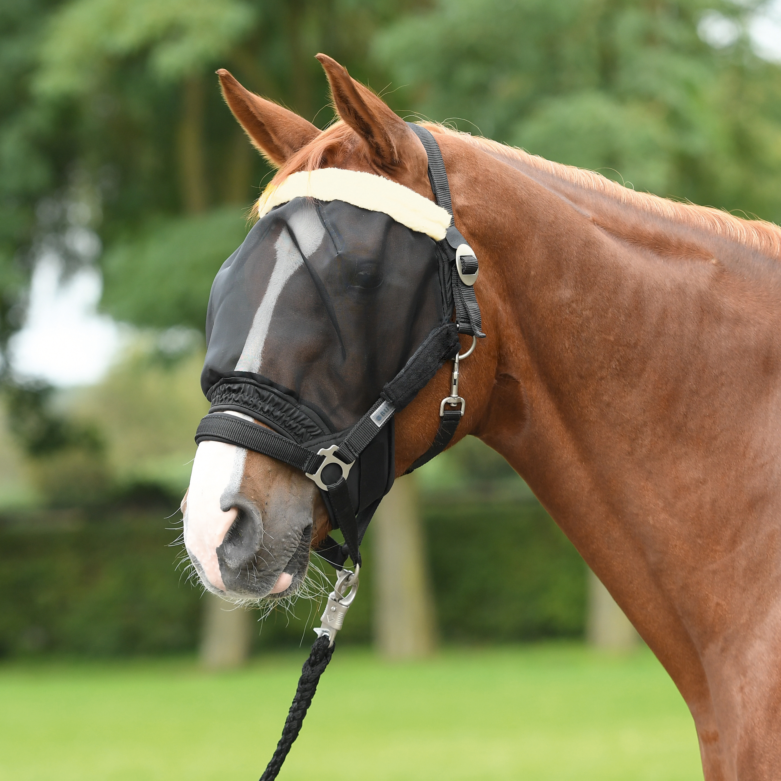 Masque anti-mouches Combi
