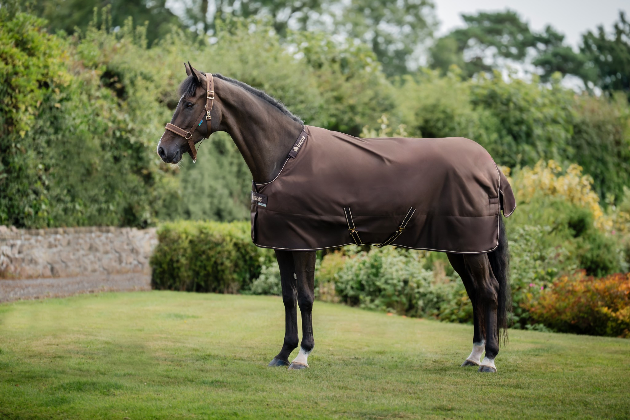 Outdoordecke Irish Turnout 300 g in Espresso