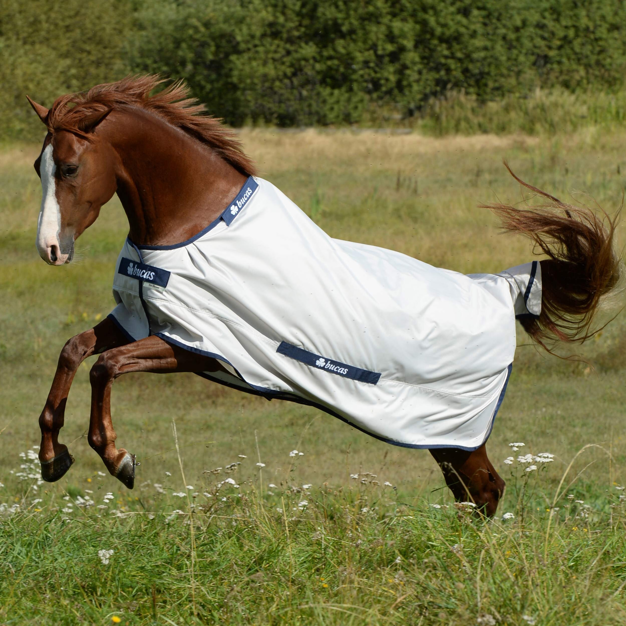 Regendecke Sun-Shower 0g Silver