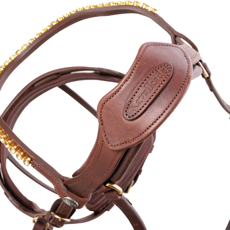 Bridle oiled leather "Caliano" close-comb.