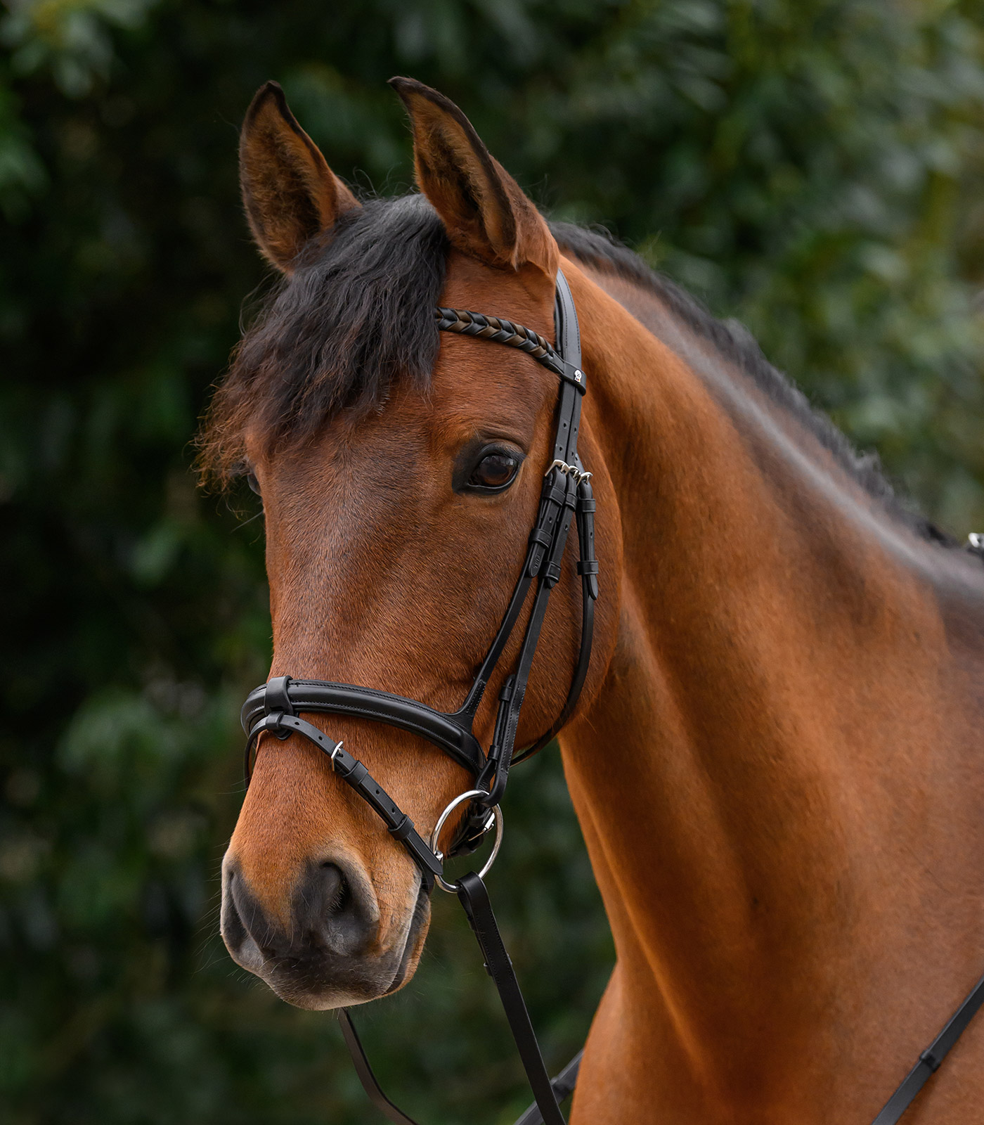 X-Line Browband Braided, black