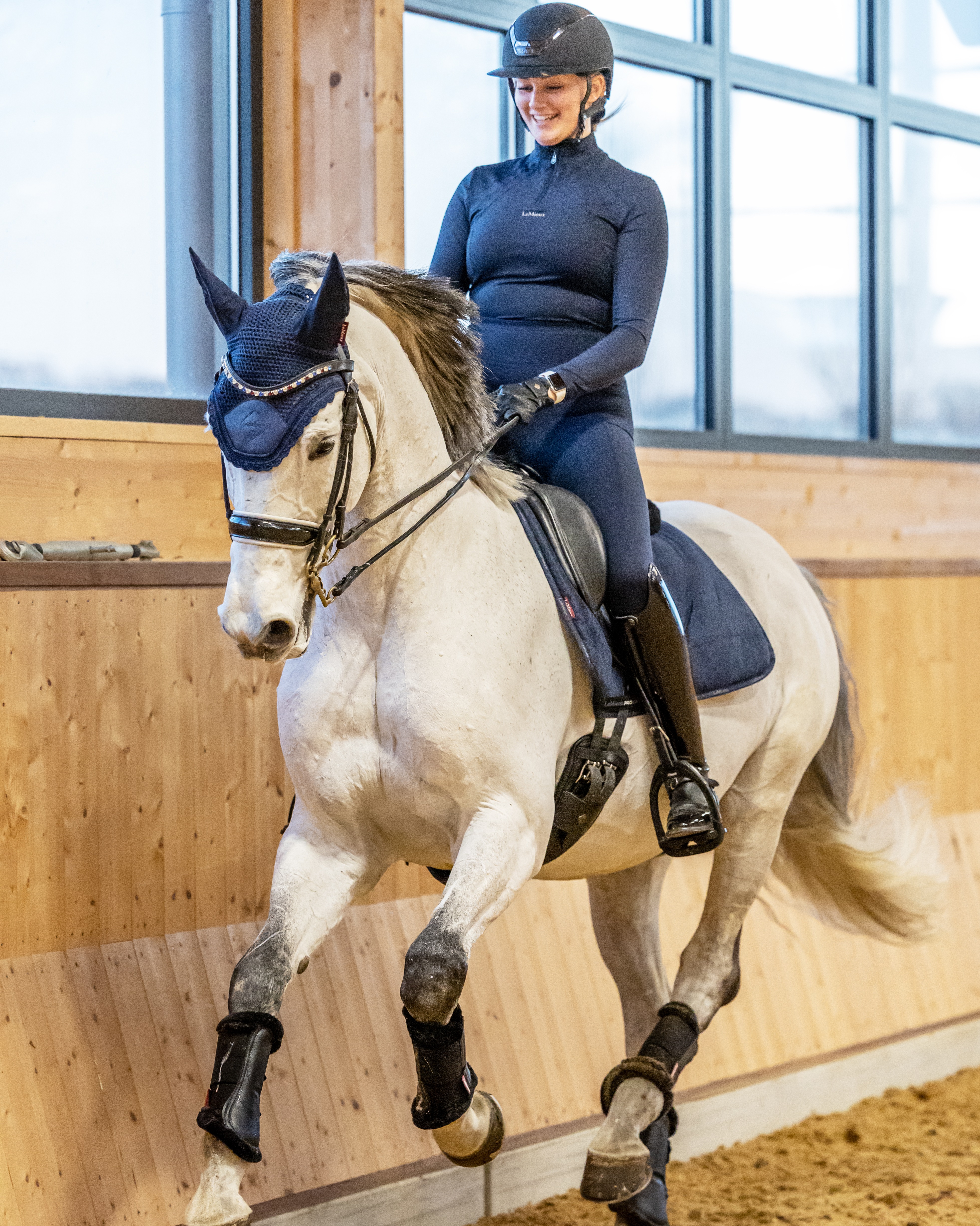 Work Pad Dressage in navy