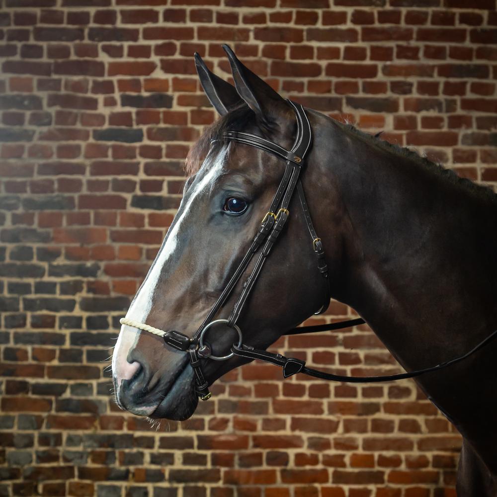 Trense mit hannoverschem Strickreithalfter DY | Dy'on Trense mit hannoverschem Strickreithalfter DY | Dy'on