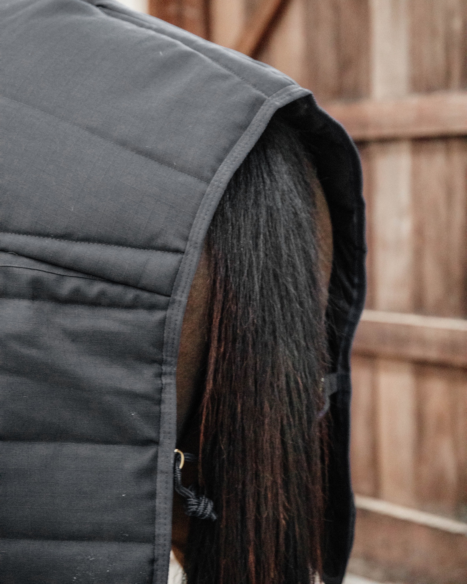 Classic 300g stable rug