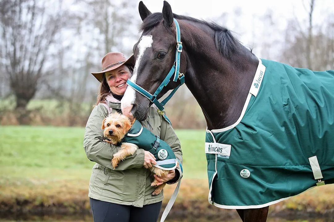Hundedecke Greenline in Green/cream
