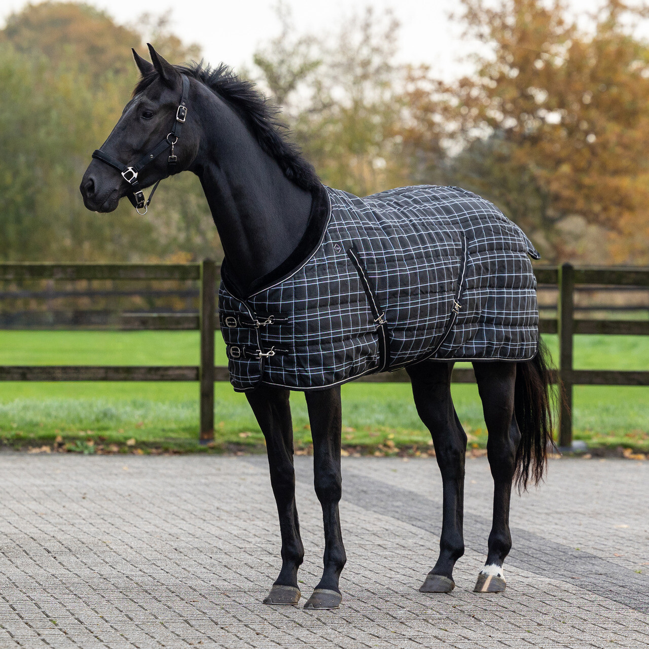 Stalldecke Luxus 250gr