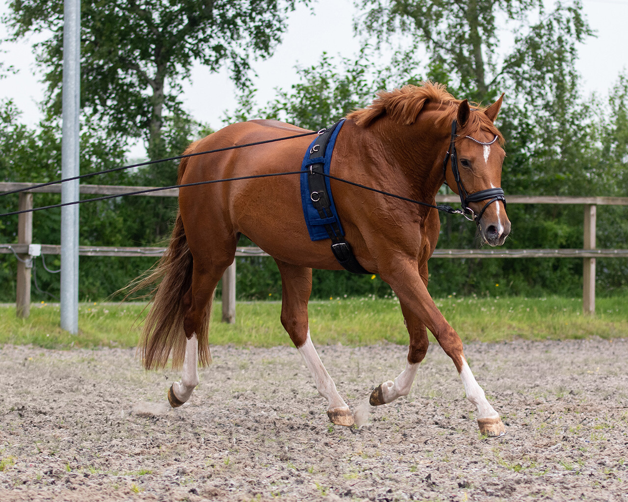 Double lunge