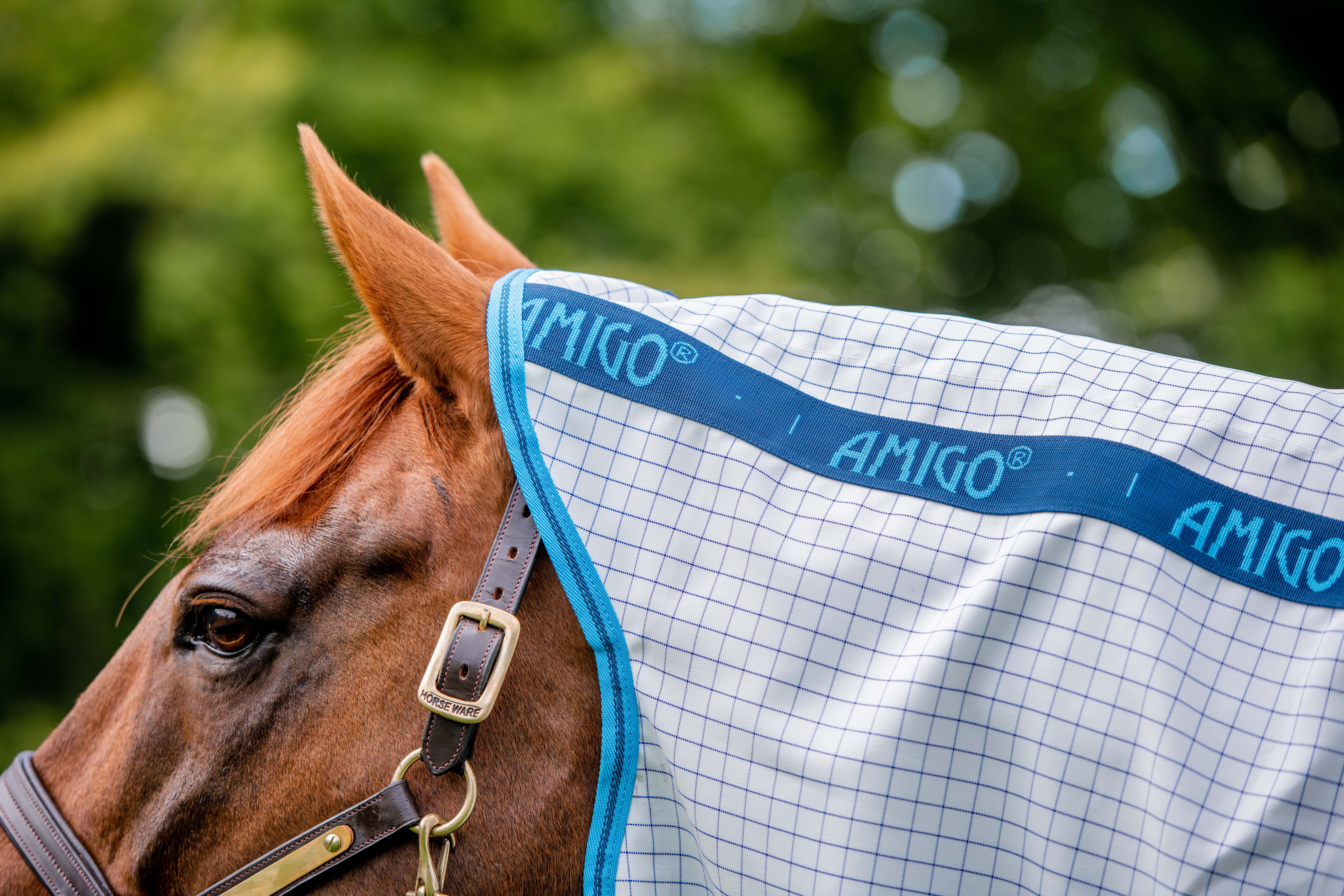 Fliegendecke Amigo Aussie Allrounder DF in NavyCheck/ElectricBlue&Nav