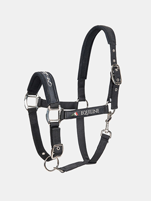 Timmy halter
