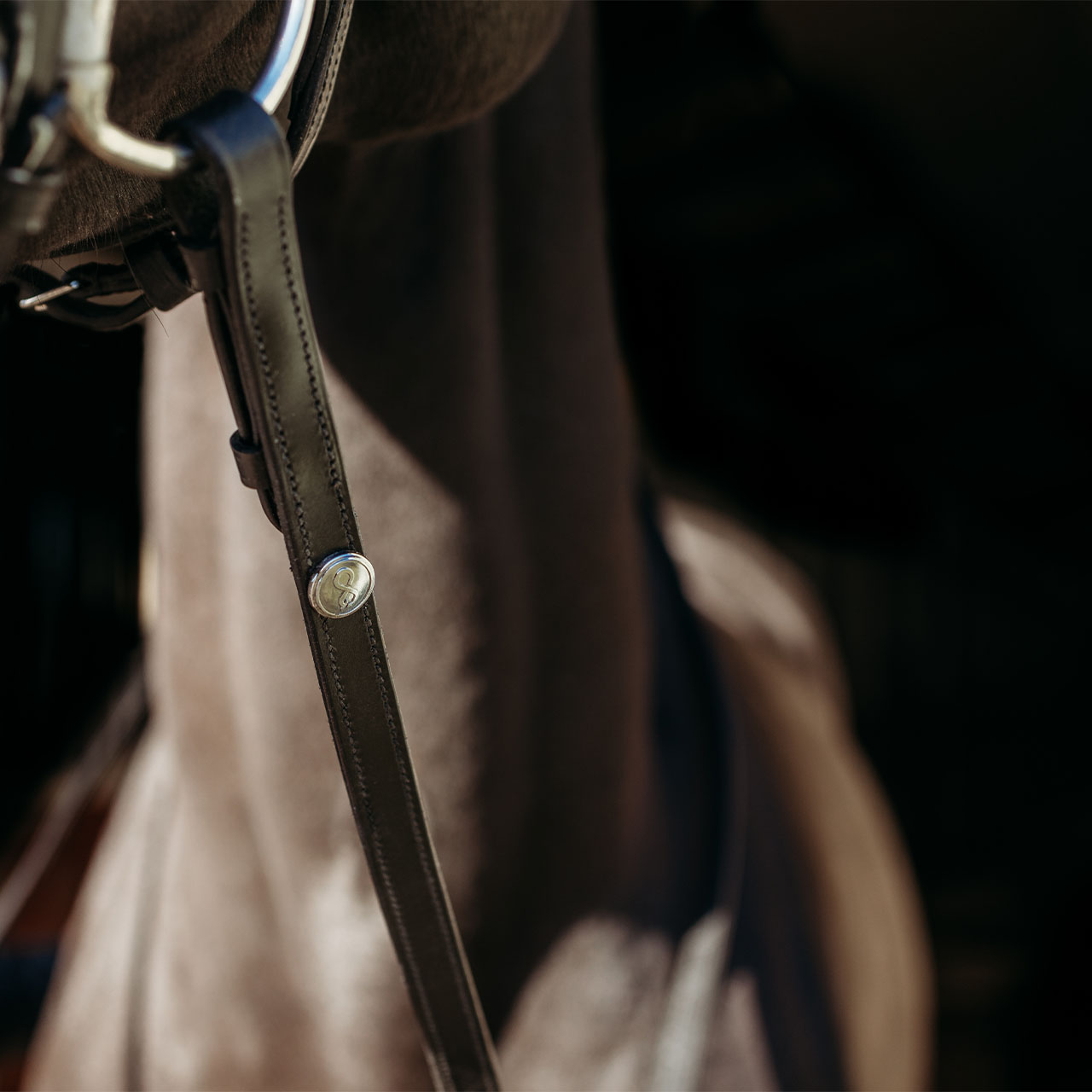 Reins FayRein with stops(12.5cm)