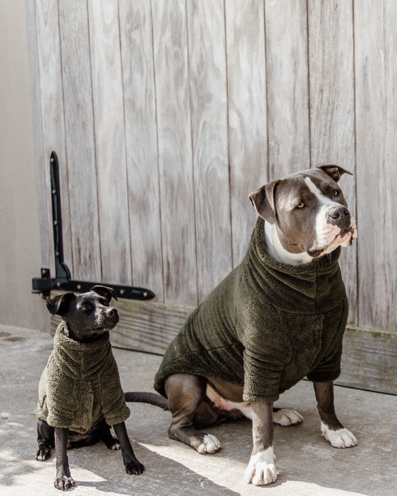 Teddy fleece dog jumper