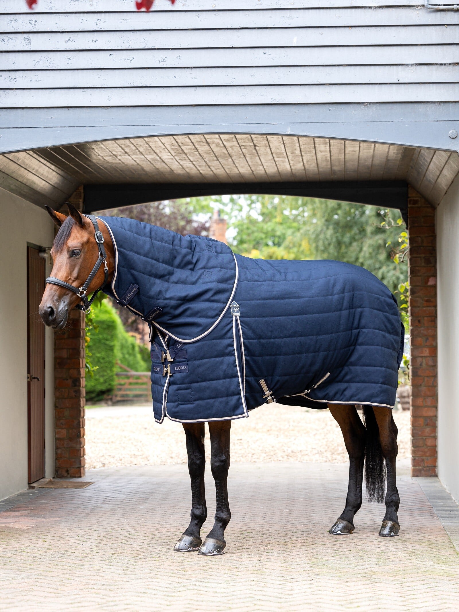 Kudos Stalldecke 200g
