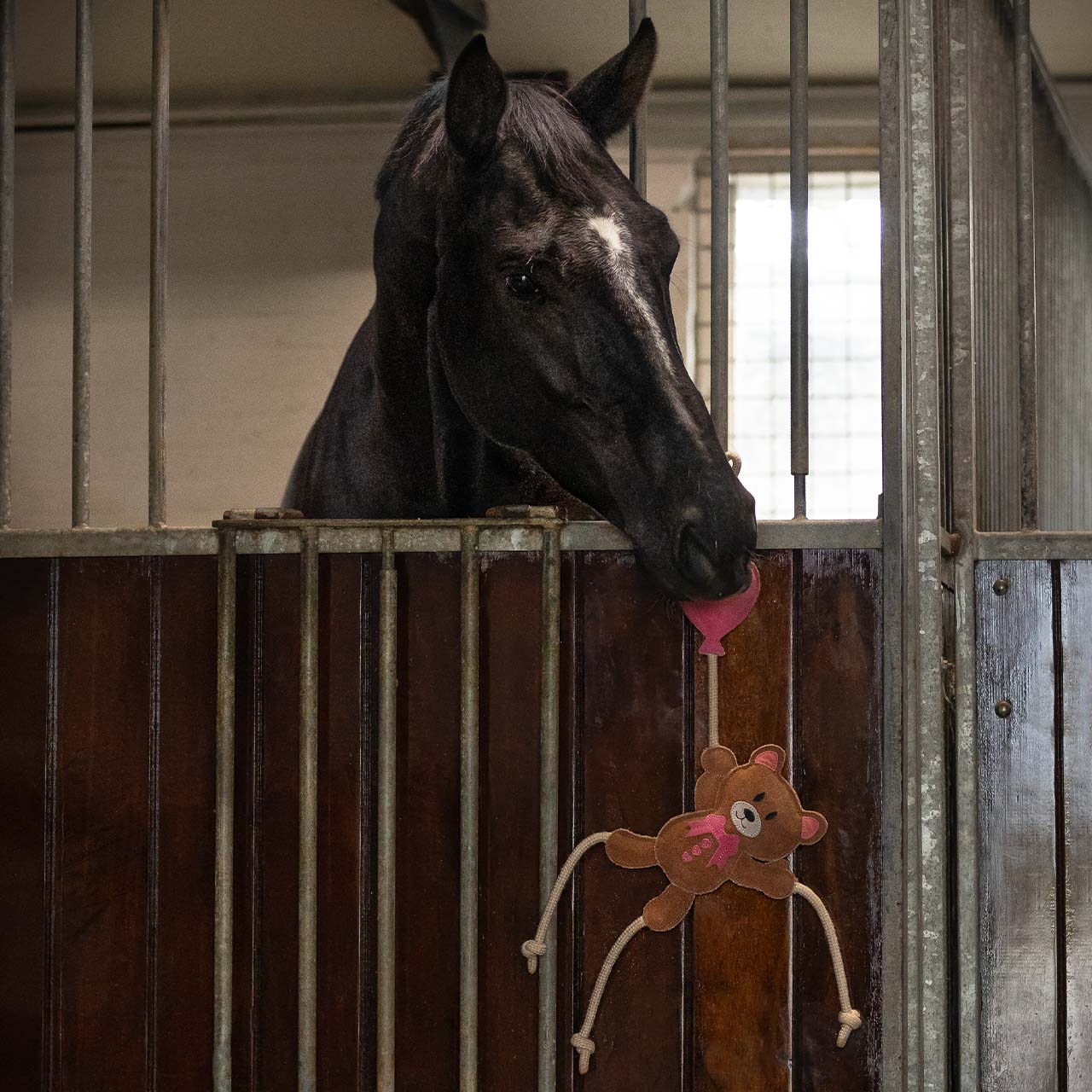 Valentine horse toy