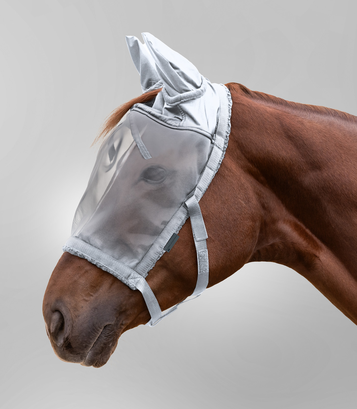 Weidehalfter mit Fliegenmaske