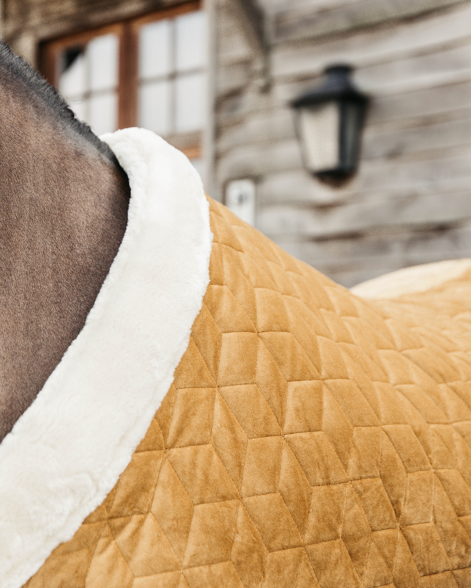 Show rug Show Rug Velvet 160g