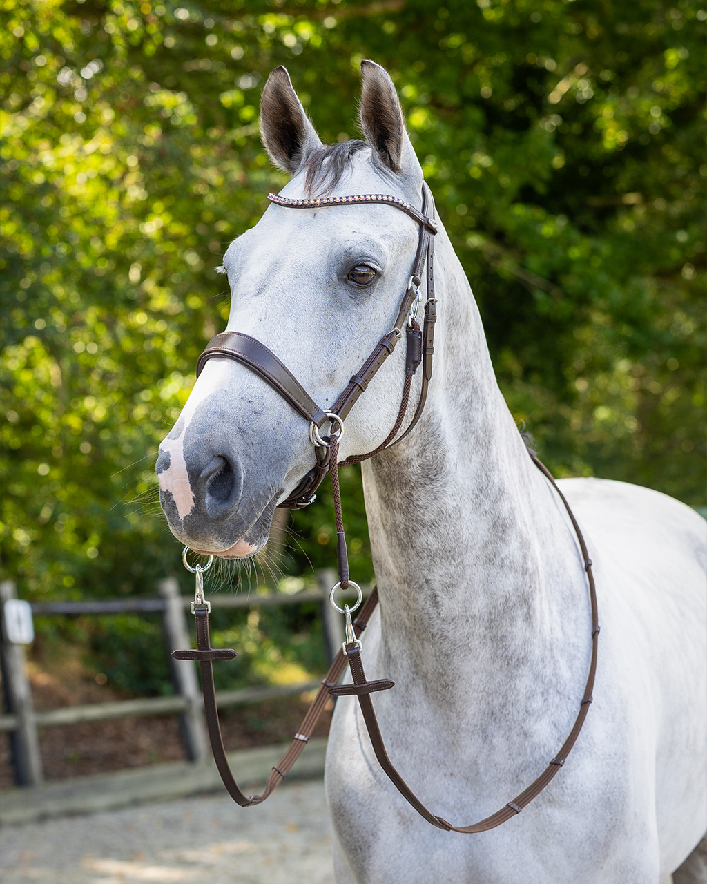 Snaffle bitless Sunna