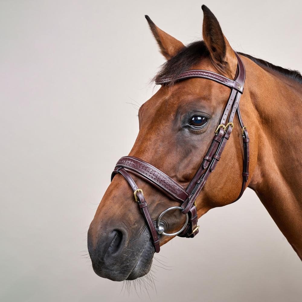 Geflochtene Trense mit schwedischen Reithalfter DY | Dy'on