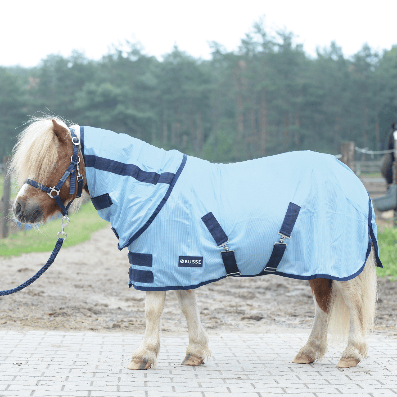 Sunshine II outdoor fly rug