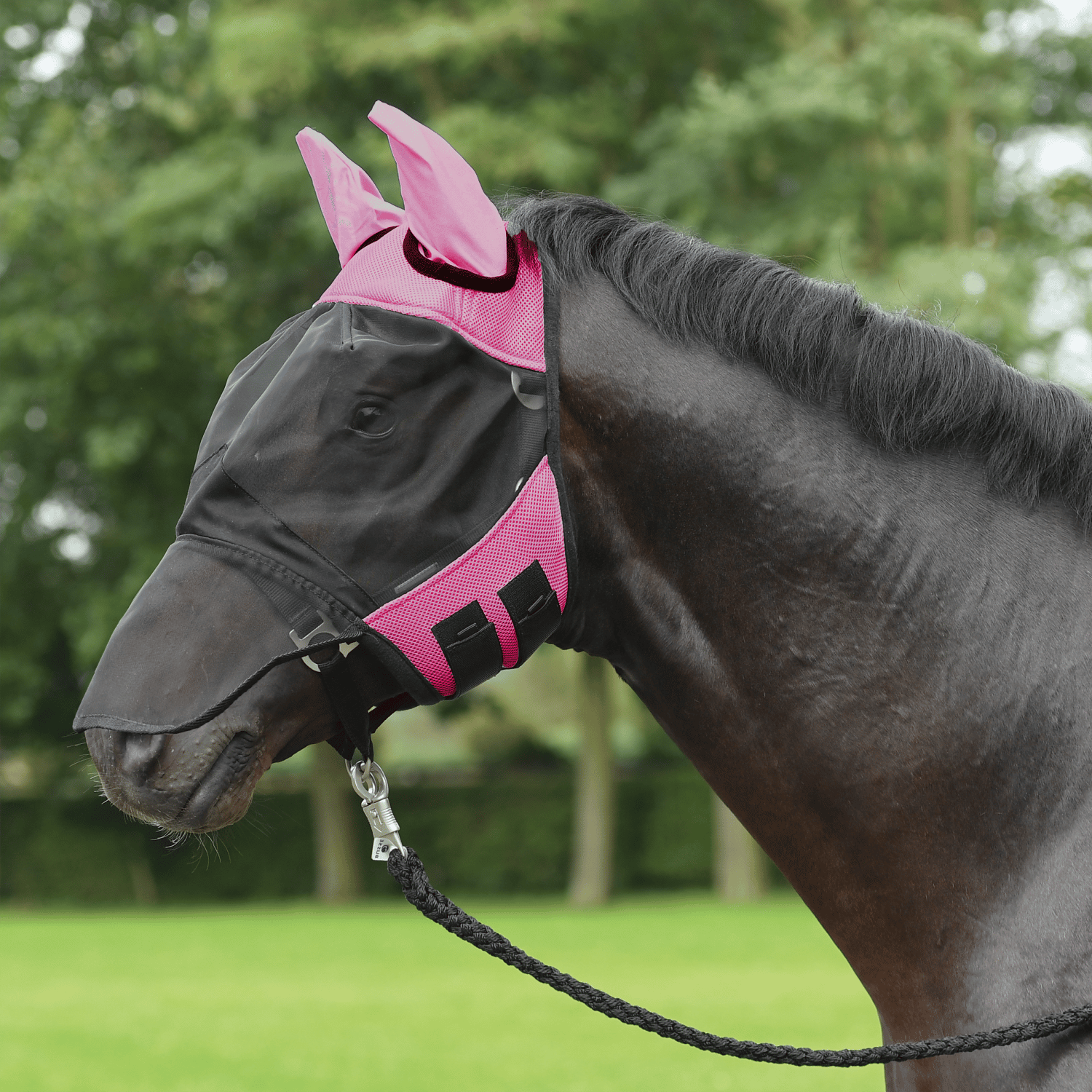 Fly mask Fly Cover Pro