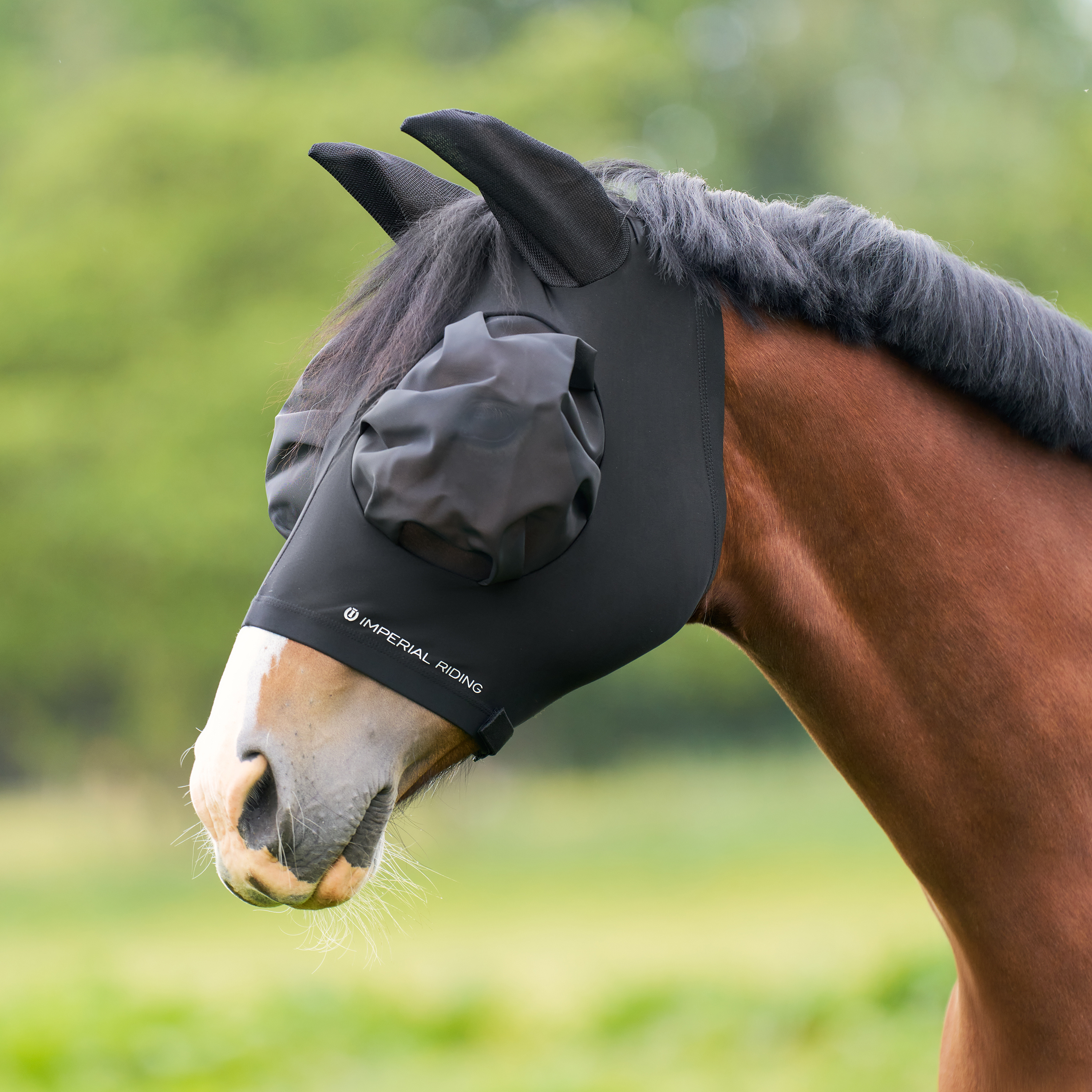 Fliegenmaske Trail ride