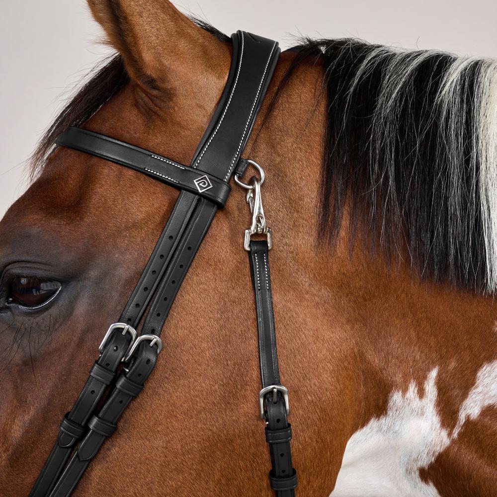 Trense aus Flachleder mit Karabinern in schwarz