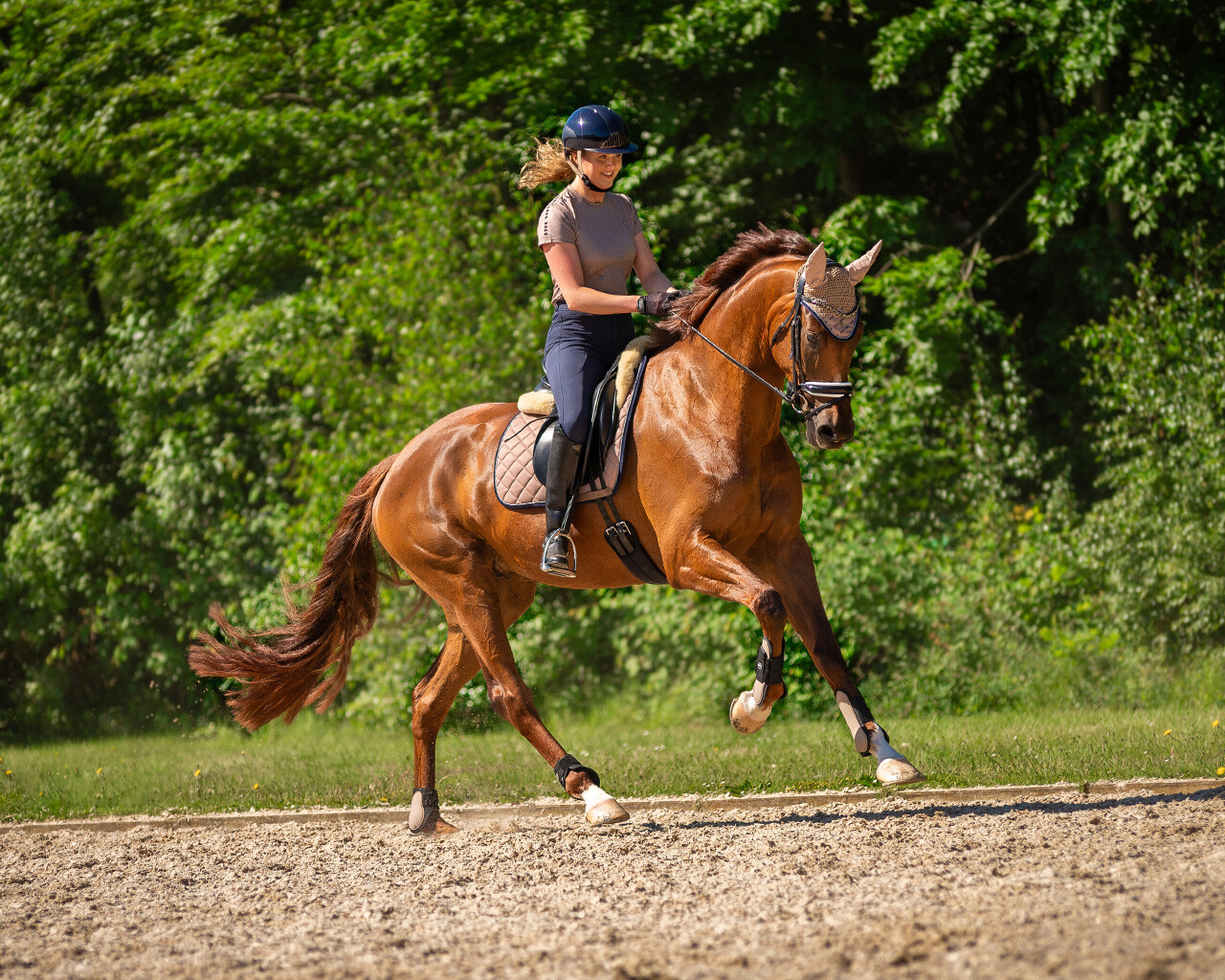 Fetlock caps