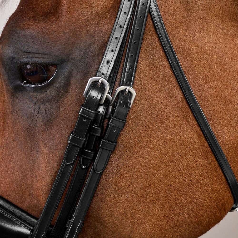 Kandare mit breitem schwedischem Reithalfter