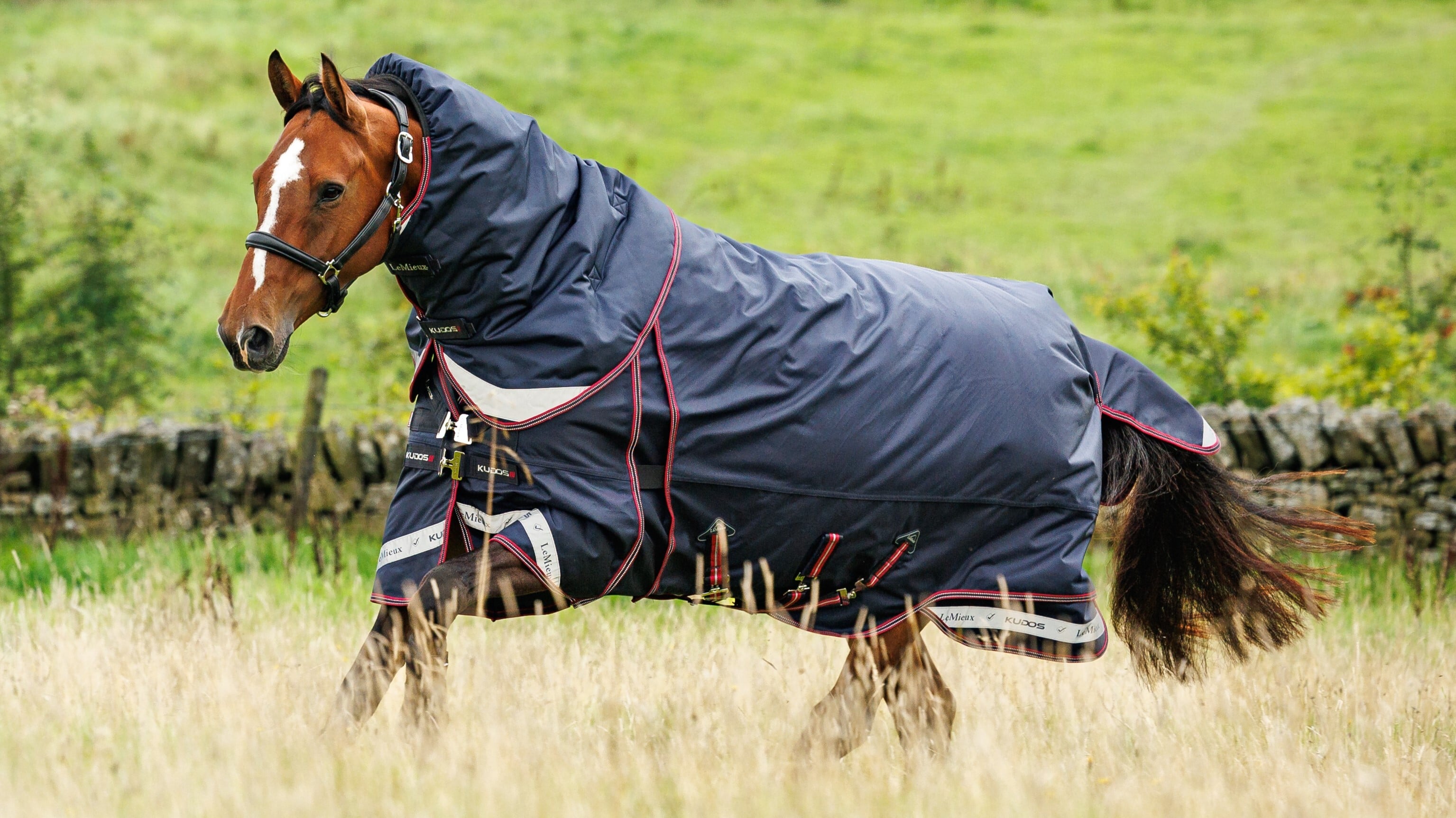 Kudos Thermo Layer Turnout Rug 300g