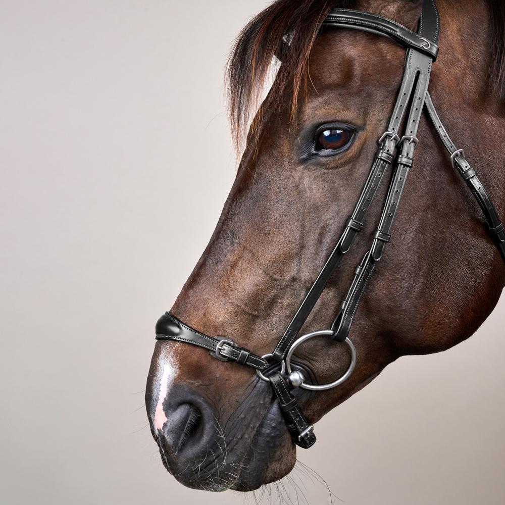 Trense mit verstellbarem hannoverschem Reithalfter NE