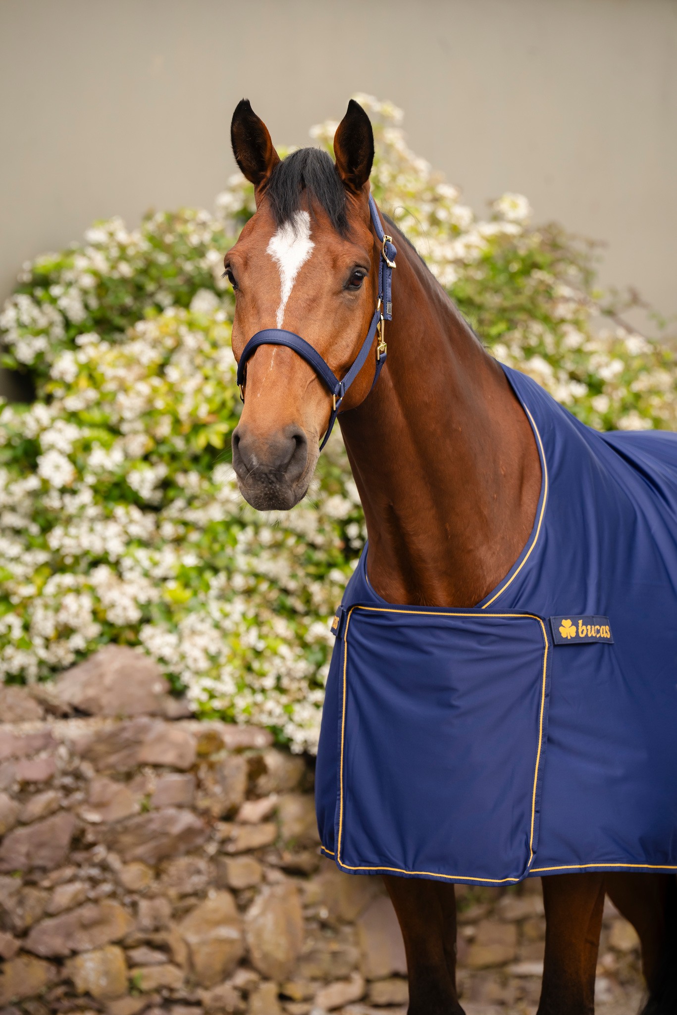 Abschwitzdecke Panel Prize Cooler in Navy/Gold