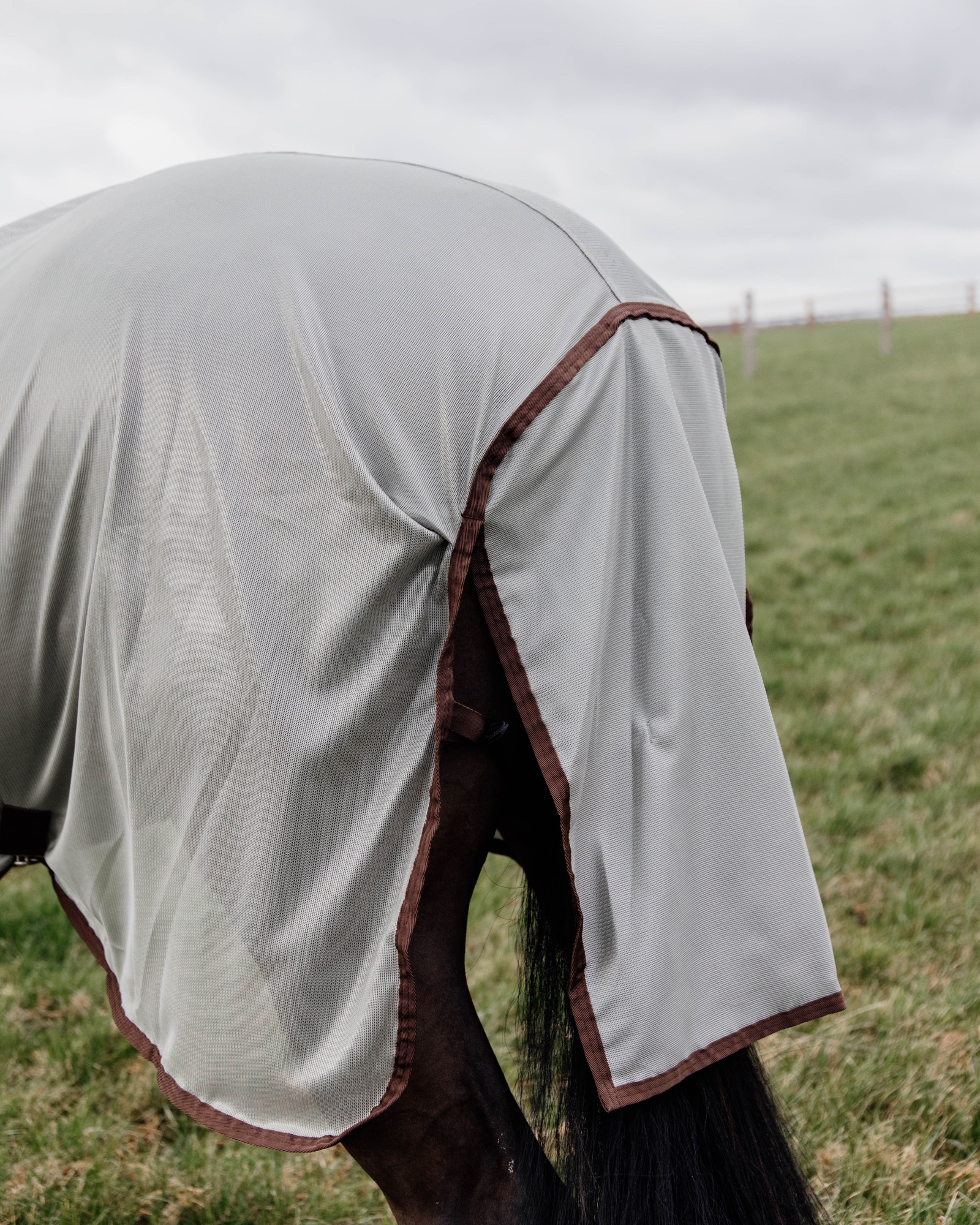 Mesh Classic fly rug