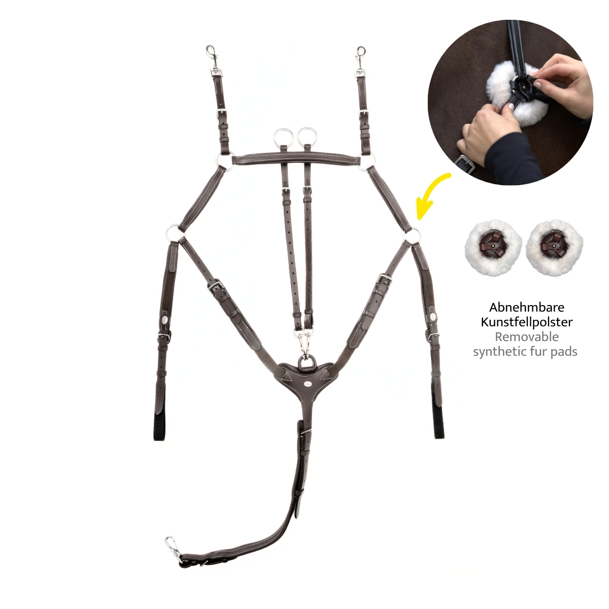 Breastplate "Bianca" 5-pt. with elastic